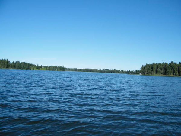 231.jpg